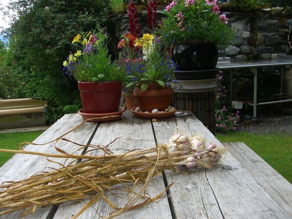 Brigitte'S Bavarian Bed Und Breakfast Millers Landing Exteriör bild