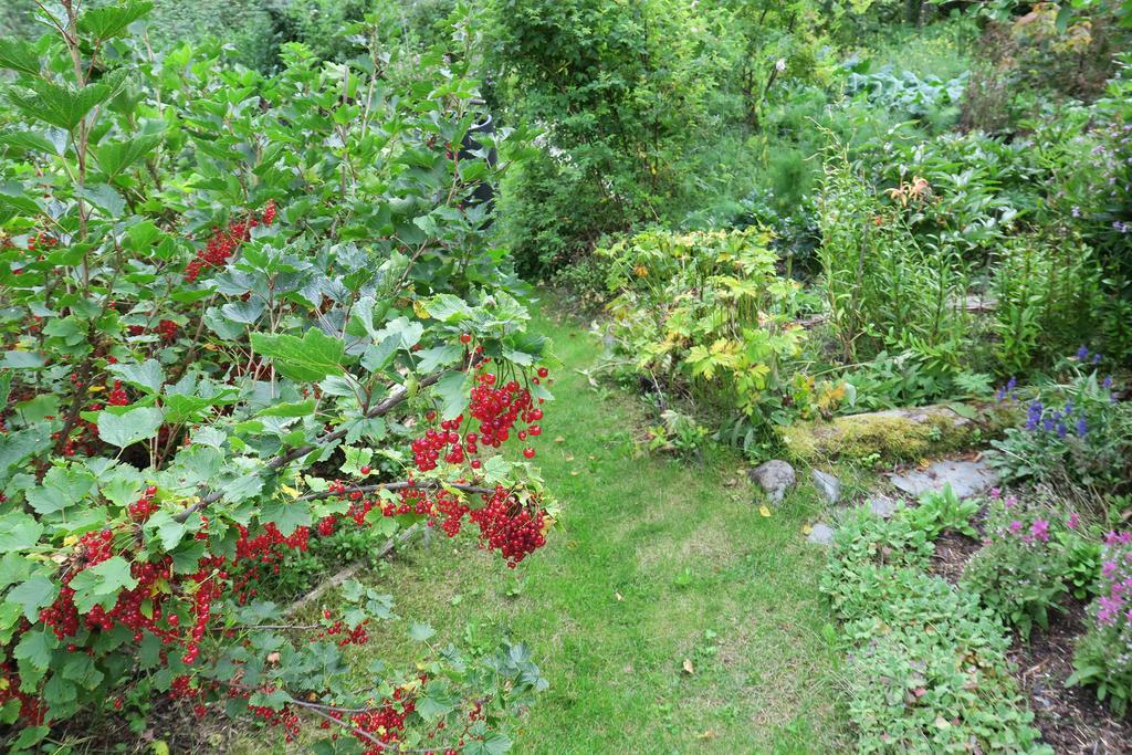Brigitte'S Bavarian Bed Und Breakfast Millers Landing Exteriör bild