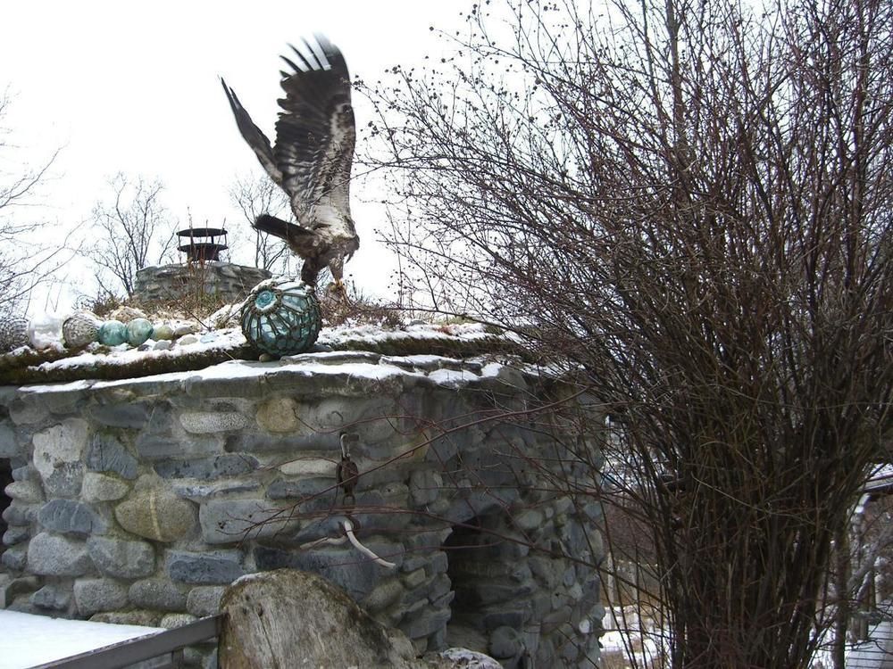 Brigitte'S Bavarian Bed Und Breakfast Millers Landing Exteriör bild