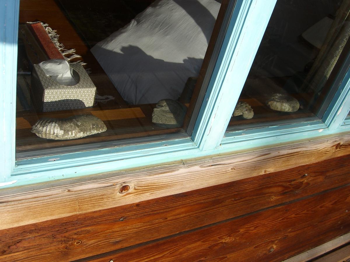 Brigitte'S Bavarian Bed Und Breakfast Millers Landing Exteriör bild